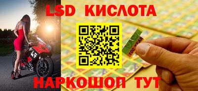 прущие грибы Бугуруслан