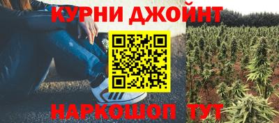 прущие грибы Бугуруслан
