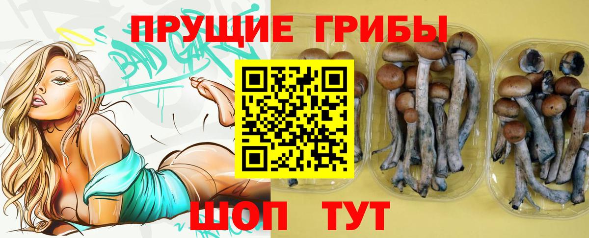 Нарткала  купить закладку  Псилоцибиновые грибы GOLDEN TEACHER  Вход с VPN  Псилоцибиновые грибы ЛСД 
