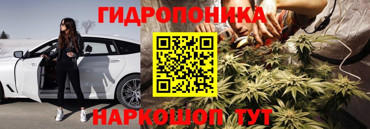 Шишки марихуана Amnesia  Бошки марихуана Ganja  Вход с VPN  Нарткала  Бошки Шишки Amnesia  Шишки марихуана план 